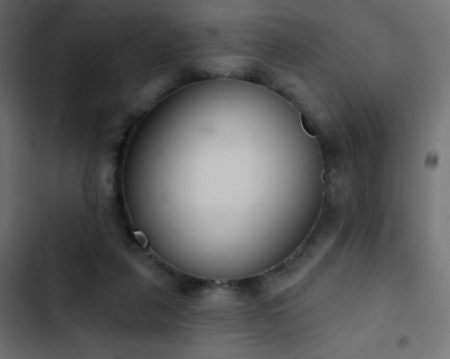 X0000103440259200809121410