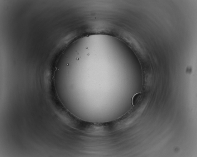 X0000103440260200809121410