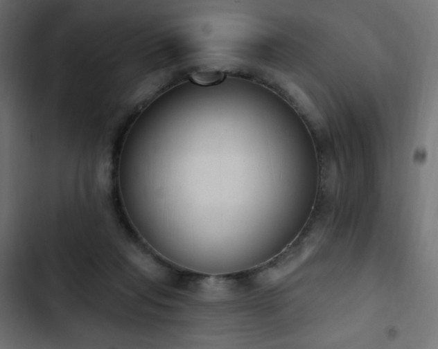 X0000103440261200809121410