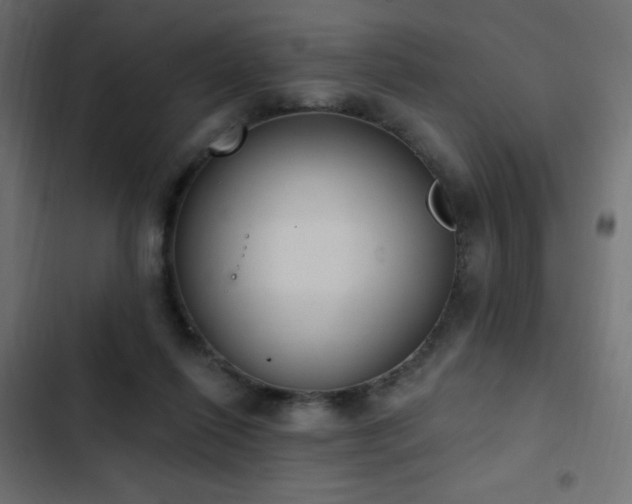 X0000103440262200809121410