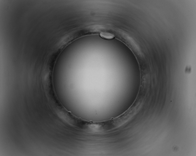 X0000103440265200809121410