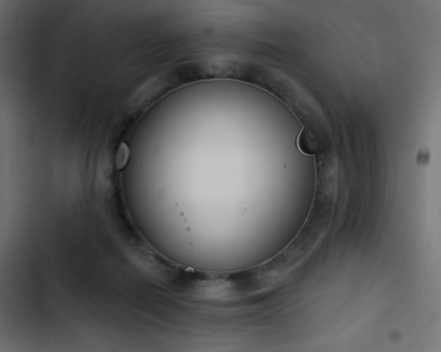 X0000103440266200809121410
