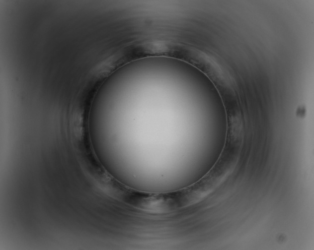 X0000103440267200809121410