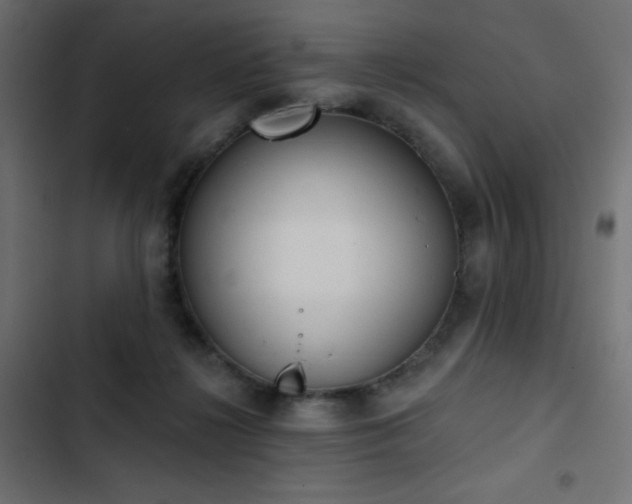 X0000103440268200809121410
