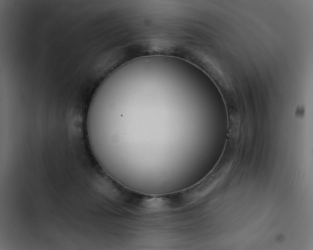 X0000103440269200809121410