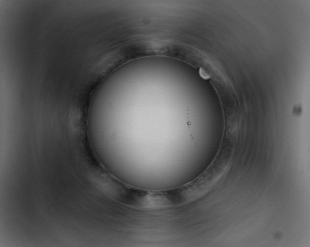 X0000103440270200809121410