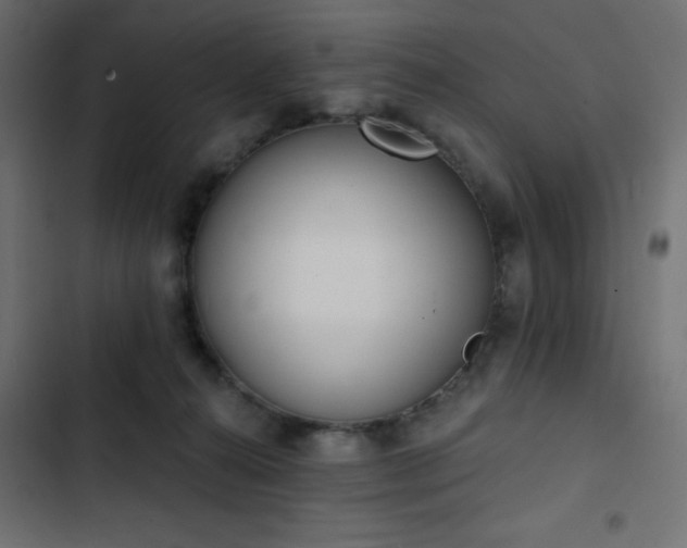 X0000103440272200809121410