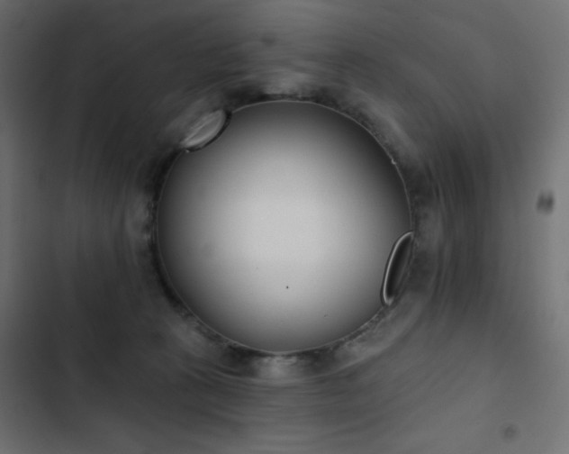 X0000103440273200809121410