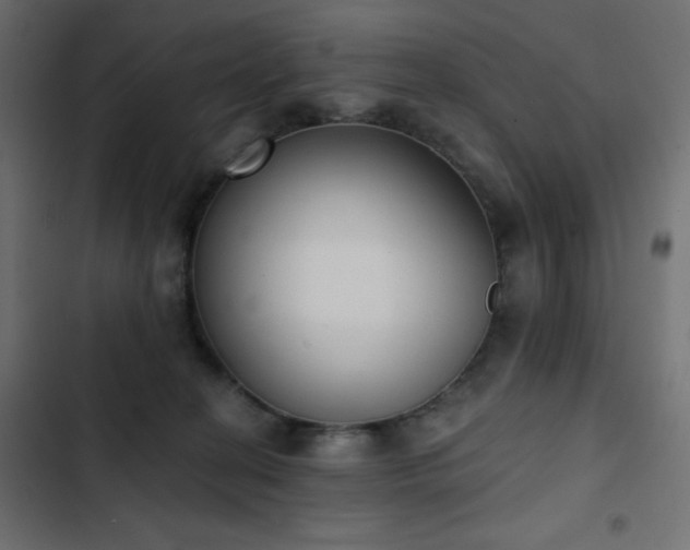 X0000103440274200809121410
