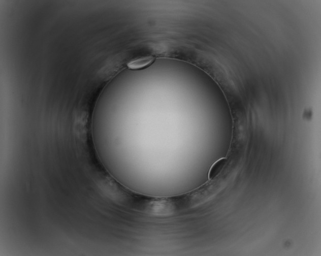 X0000103440275200809121410