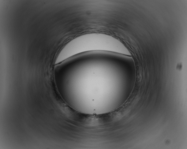 X0000103440276200809121410