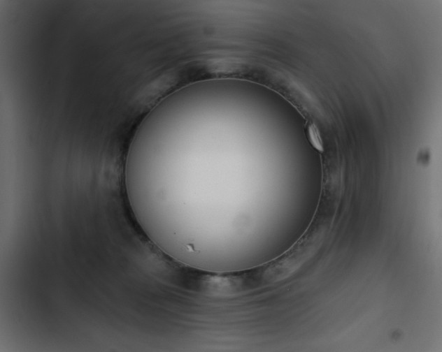 X0000103440277200809121410