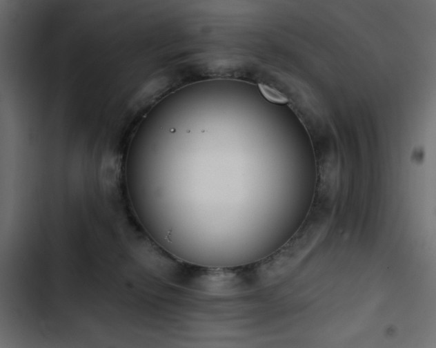 X0000103440278200809121410