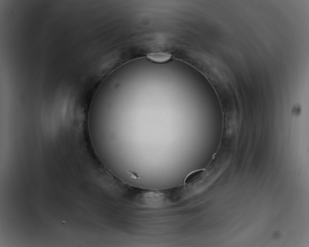 X0000103440279200809121410