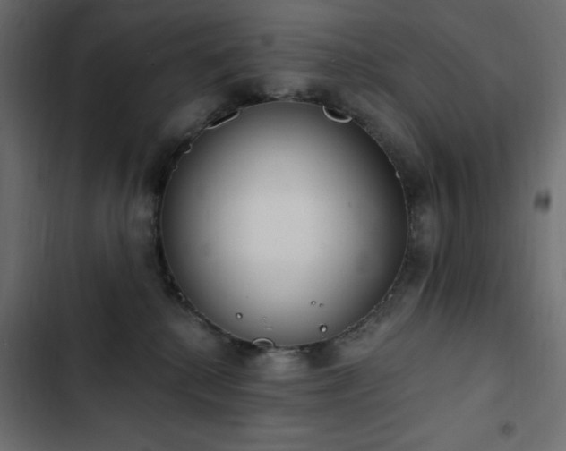 X0000103440280200809121410