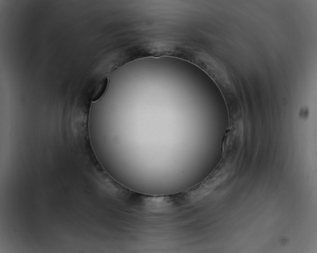 X0000103440281200809121410