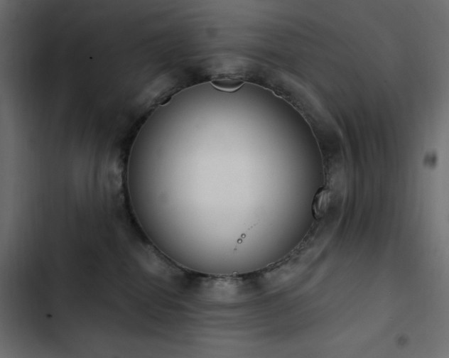X0000103440282200809121410