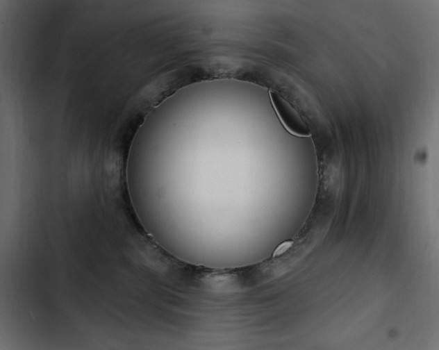 X0000103440283200809121410