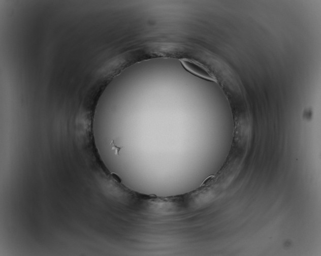 X0000103440284200809121410