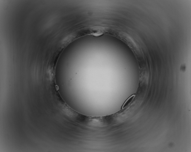 X0000103440285200809121410