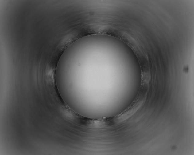 X0000103440286200809121410