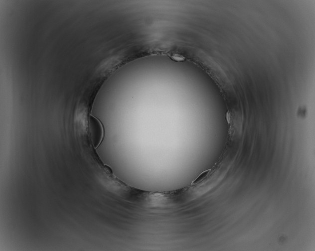 X0000103440287200809121410