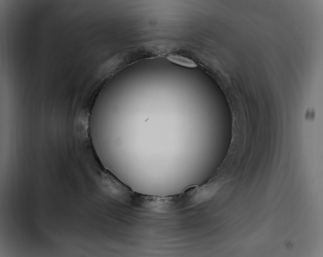 X0000103440288200809121410