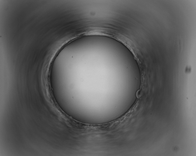 X0000103440289200809121410