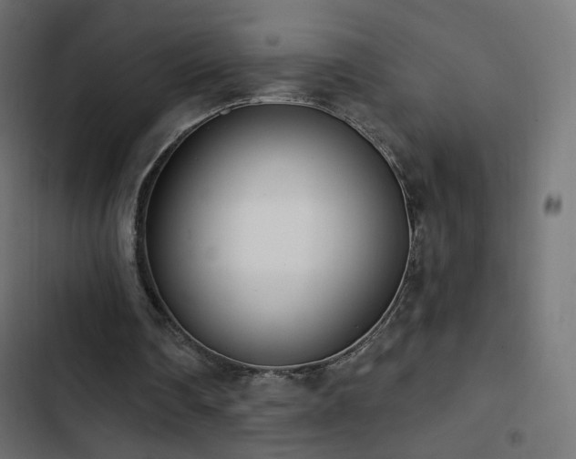 X0000103440290200809121410