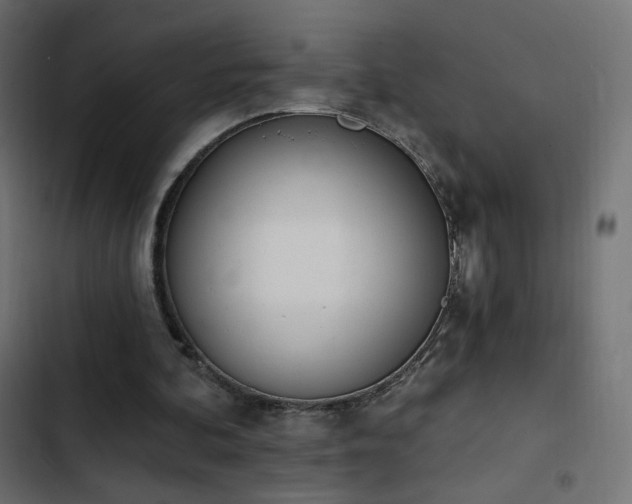 X0000103440292200809121410