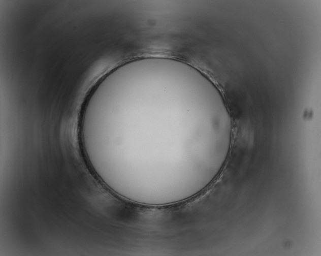 X0000103440293200809121410