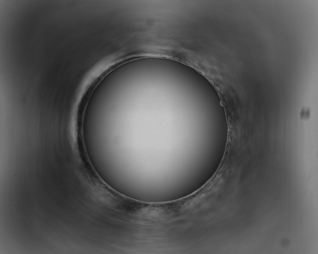 X0000103440294200809121410