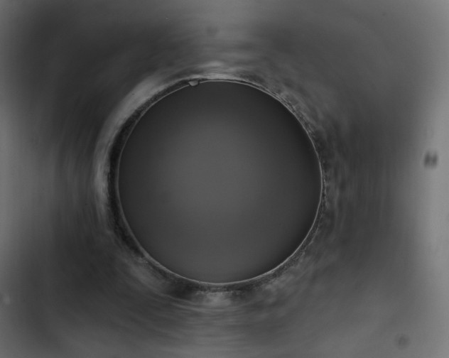 X0000103440295200809121410