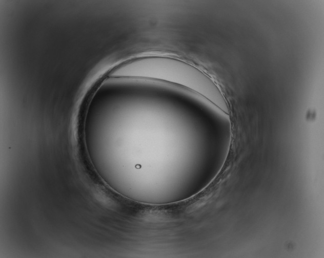 X0000103440296200809121410