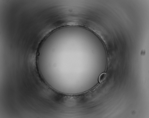 X0000103440297200809121410