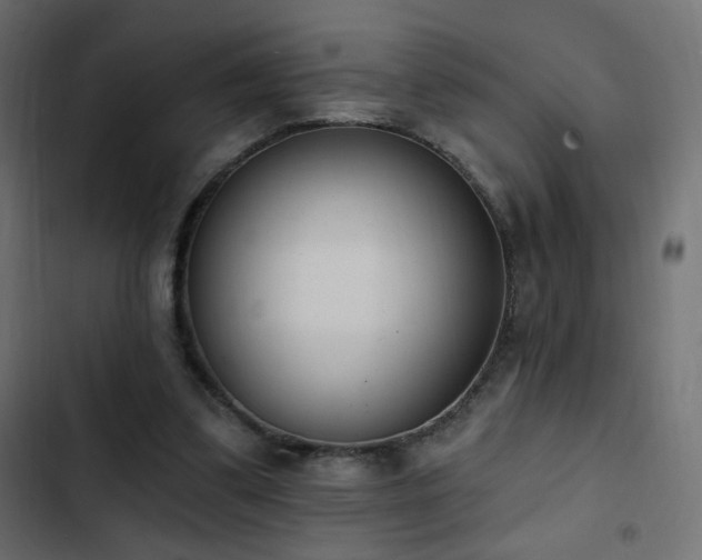 X0000103440299200809121410