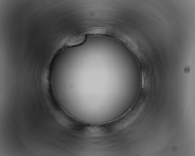 X0000103440300200809121410