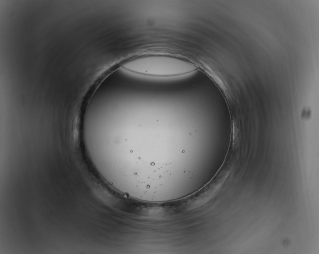 X0000103440301200809121410