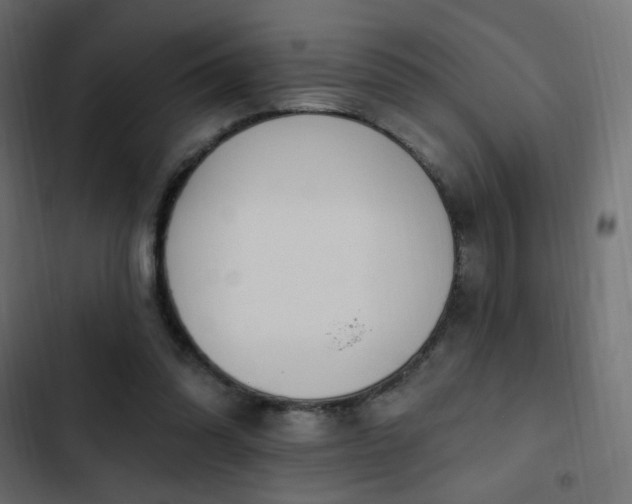 X0000103440302200809121410