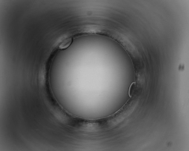 X0000103440304200809121410