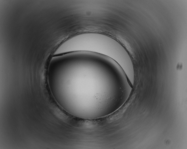 X0000103440305200809121410