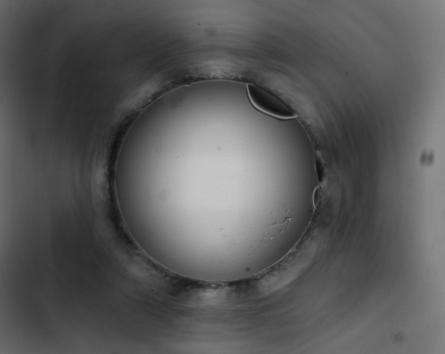 X0000103440306200809121410