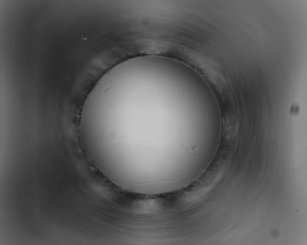 X0000103440307200809121410