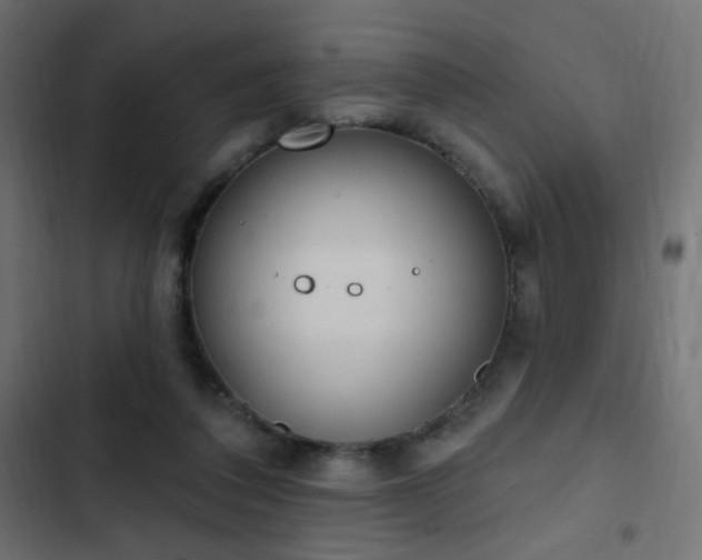 X0000103440308200809121410