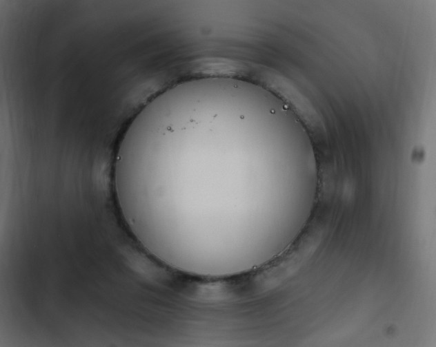 X0000103440309200809121410