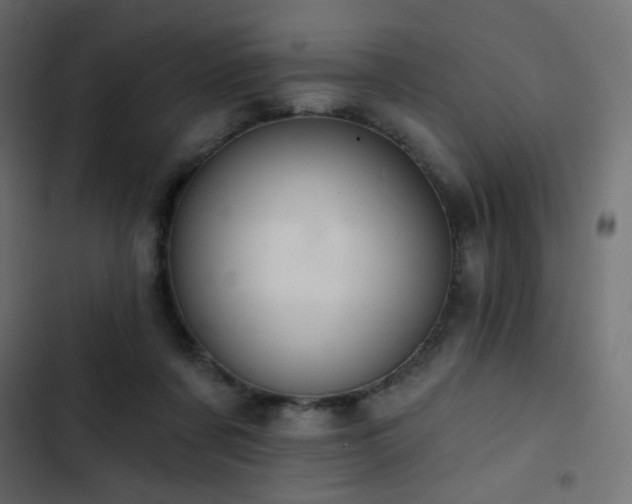 X0000103440311200809121409