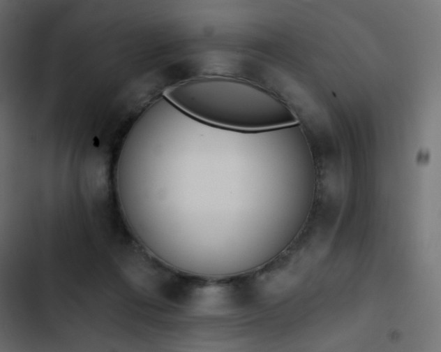 X0000103440312200809121409