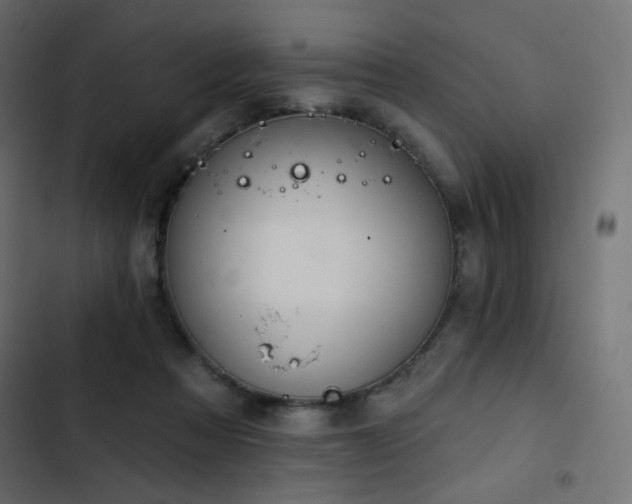 X0000103440313200809121409