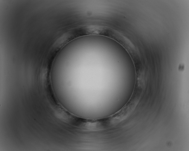 X0000103440314200809121409