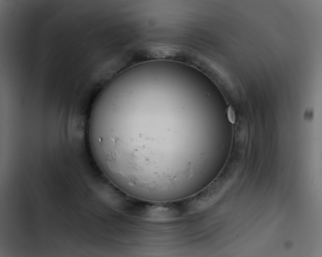 X0000103440315200809121409